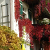 Отель Pension Schwarzenbach, фото 1