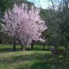 Отель Il Cigliere Your Holiday Home in the Heart of Tuscany, фото 19