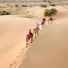 Отель Wind Desert Camp, фото 18