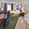 Отель Holiday Inn Express And Suite Omaha Area, фото 13