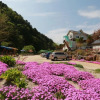 Отель Pocheon Evergreen Pension, фото 25