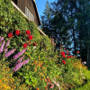 Отель Wedgwood Manor and Glamping Retreat, фото 44
