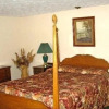 Отель White Columns Motel, фото 26