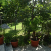 Отель Apartments Villa PM, фото 10