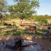 Отель Mthimkhulu Private Game Reserve- Adults Only, фото 13