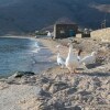 Отель Bright Blue Studio near Stone Tower 1690 • Andros, фото 29