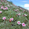 Отель Rier, фото 28
