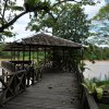 Отель Borneo Nature Lodge, фото 10