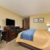 Отель Comfort Inn & Suites Manheim - Lebanon, фото 3