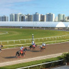 Отель Cozy Studio Hallandale Beach, Near the Ocean :), фото 27