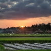 Отель Rumah Dharma, фото 24