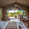 Отель Losokwan Luxury Tented Camp - Maasai Mara, фото 1