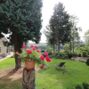 Отель Rhinegold Bungalow, фото 10