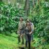 Отель Ama Plantation Trails , Chikmagalur, фото 12