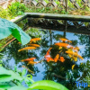 Отель Hongzhuanwu Wensu Hotel, фото 12