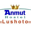 Отель Anmut Hostel, фото 26