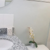 Отель Gated Studio By The Pavillian Mall Near US Embassy Liguanea Kingston, фото 7