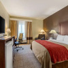 Отель Comfort Inn, фото 3