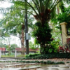 Отель P.P. Palm Mansion, фото 14