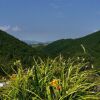 Отель Agriturismo Carincone, фото 1