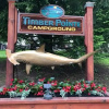 Отель Timber Pointe Resort, фото 35