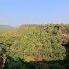 Отель Kraj Tiger Resort, фото 11