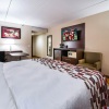 Отель Red Roof Inn Palatine, фото 7