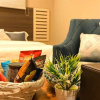 Отель Bq Hotel Suites, фото 12
