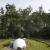 Отель Forest Domes, фото 5