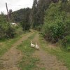 Отель Ecoturismo Los Manzanos, фото 22