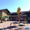 Отель Yunshuiyao Jingwei Xiaodiao Boutique Inn, фото 16