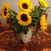 Отель Donna's Bed & Breakfast, фото 15