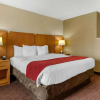 Отель Comfort Suites Hanes Mall, фото 7