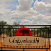 Отель Uukwaluudhi Safari Lodge в Окахао