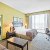 Отель Holiday Inn Roanoke-Tanglewood-Rt 419&i581, an IHG Hotel, фото 4
