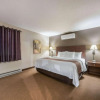 Отель Quality Inn & Suites, фото 1