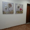 Отель Hostal Menurka, фото 8