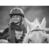Отель Oaklands Country Manor, фото 38