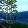 Отель Payangan Hideaway Villa Ubud, фото 13