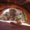 Отель Arches Drive Bed and Breakfast, фото 15