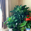 Отель Vienna International Hotel (Hefei Zhengwu New District Vientiane City), фото 9