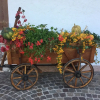 Отель Agriturismo Alpenvidehof, фото 13