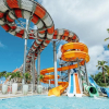 Отель Mangrove Beach Corendon Curacao All-Inclusive Resort, Curio by Hilton, фото 38
