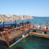 Отель Bocas Town, фото 21