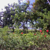 Отель Hospedaje Yarisnori, фото 17