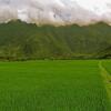 Отель Mai Chau Villas, фото 13