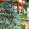 Отель Eraslan Tatil Koyu, фото 13