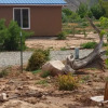 Отель Stone Lizard Vacation Rentals, фото 10