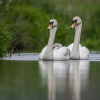 Отель Carrick's At Castle Farm, фото 17