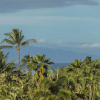 Отель Palms at Wailea Two Bedrooms - Garden View by Coldwell Banker Island Vacations, фото 29
